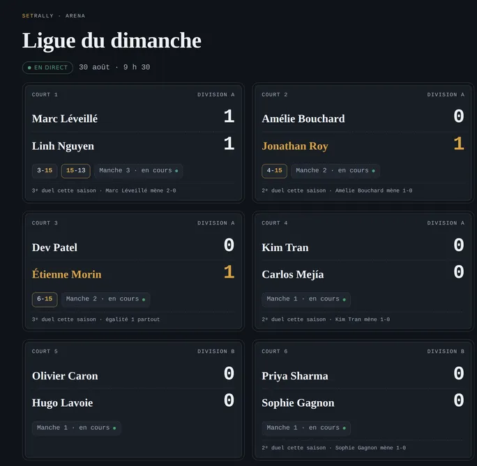 Page Arena de la Ligue du dimanche : les terrains en direct.